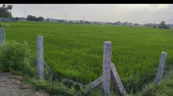 Agricultural/Farm Land for Sale in Maduramangalam, Kanchipuram (2.60 Acre)