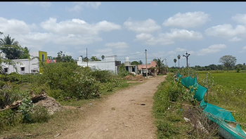 Agricultural/Farm Land for Sale in Thirukalukundram, Kanchipuram (74 Cent)