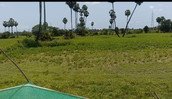 Property for sale in Thirukalukundram, Kanchipuram