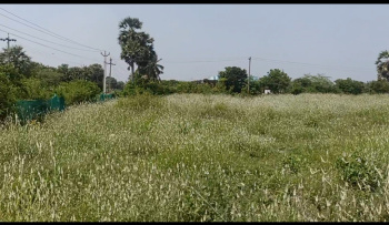 Commercial Lands /Inst. Land for Sale in Cheyyur, Chengalpattu (21 Cent)