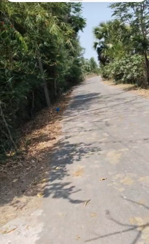 Property for sale in Karunguzhi, Chengalpattu