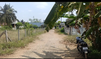 Residential Plot for Sale in Cheyyur, Chengalpattu (1500 Sq.ft.)