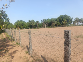 Agricultural/Farm Land for Sale in Cheyyur, Chengalpattu (1.45 Acre)