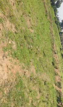 Agricultural/Farm Land for Sale in Koovathur, Kanchipuram (1 Acre)