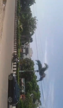 Commercial Lands /Inst. Land for Sale in Akkarai, Chennai (1 Acre)