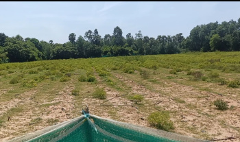Agricultural/Farm Land for Sale in Edaikazhinadu, Kanchipuram (2 Acre)