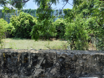 Residential Plot for Sale in Akkarai, Chennai (4800 Sq.ft.)