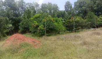 2 BHK Farm House for Sale in Marakkanam, Villupuram (95 Cent)