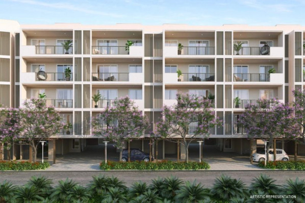 5 BHK Flats & Apartments for Sale in Sector 91, Gurgaon (500 Sq. Yards)