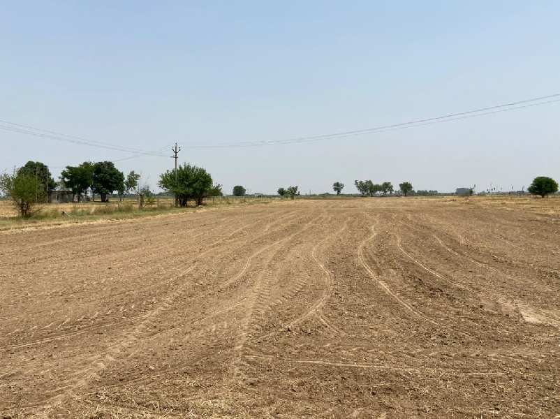 500 Sq. Yards Industrial Land / Plot for Sale in Banur, Mohali