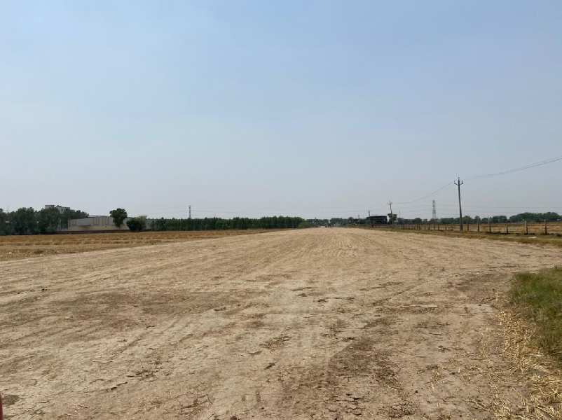 1000 Sq. Yards Industrial Land / Plot for Sale in Banur, Mohali