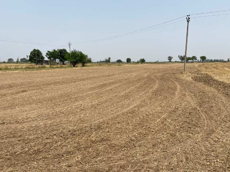 4000 Sq. Yards Industrial Land / Plot for Sale in Banur, Mohali