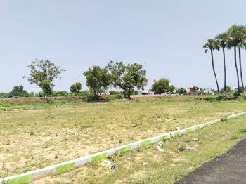 880 Sq.ft. Residential Plot for Sale in Walajabad, Chennai
