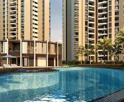 3 BHK Flats & Apartments for Sale in Dhanori, Pune (1560 Sq.ft.)