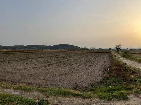 Agriculture land nearby IMT Sona and KMP
