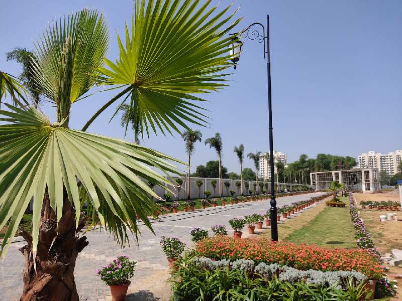 106 Sq. Yards Residential Plot for Sale in Sohna, Gurgaon