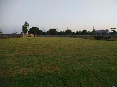 144 Sq. Yards Residential Plot for Sale in Sohna, Gurgaon