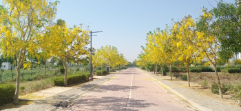 70 Sq. Yards Residential Plot for Sale in Gurgaon