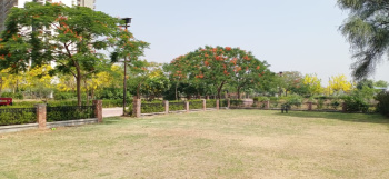 360 Sq. Yards Residential Plot for Sale in Gurgaon