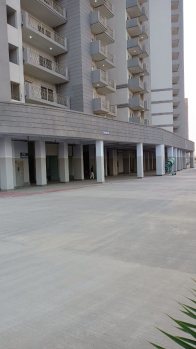 2 BHK Flats & Apartments for Sale in Southern Peripheral Rd, Gurgaon (845 Sq.ft.)