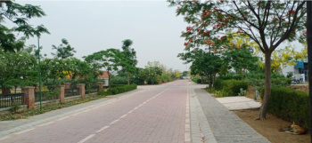 164 Sq. Yards Residential Plot for Sale in Sohna, Gurgaon