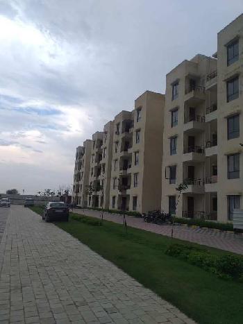 2 BHK Flats & Apartments for Sale in Alwar Bypass Road, Bhiwadi (550 Sq.ft.)