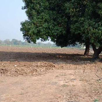Agricultural land for sale on road touch property