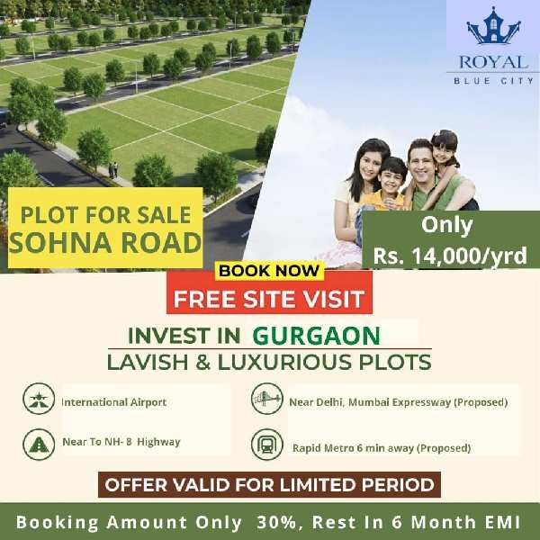 Royal Blue City Is Best Property In Gurgaon Region