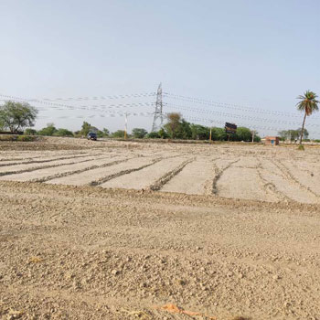 2 Bigha Agricultural/Farm Land for Sale in Yamuna Expressway, Greater Noida