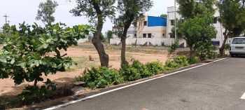 1200 Sq.ft. Residential Plot for Sale in Srinivasa Nagar, Tiruchirappalli