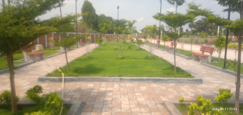 Residential Plot for Sale in Dindigul Road, Tiruchirappalli (2400 Sq.ft.)