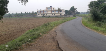 6200 Sq.ft. Industrial Land / Plot for Rent in Vesu, Surat