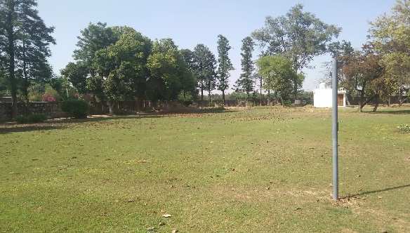 2 BHK Farm House for Sale in Bilaspur, Gurgaon (250 Sq. Yards)