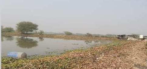 87120 Sq.ft. Agricultural/Farm Land for Sale in Sector 107, Gurgaon
