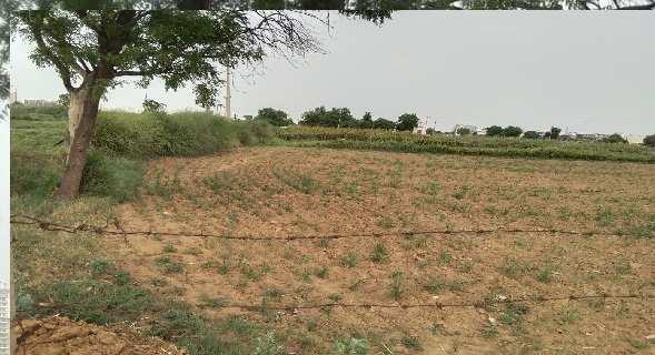 Farm Land for Sale (Nearby Sector91 Gurgaon )