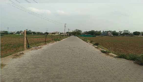 Farm Land for Sale (Nearby Sector91 Gurgaon )