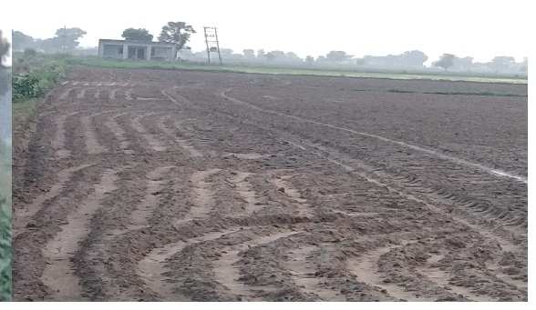 Agriculture Land for Sale Gurgaon