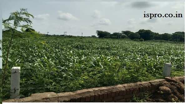 Farm Land for Sale Khatawali Dharuhera