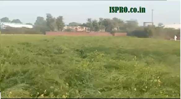 Agriculture Farm Land for Sale Shahjahanpur (Raj.)