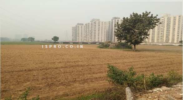 11 Acre Residential Plot for Sale in Sohna Road Sohna Road, Gurgaon