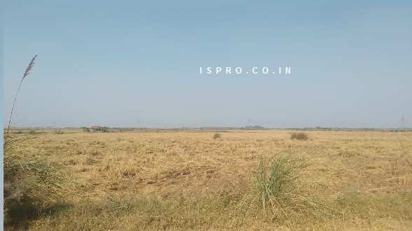 10 Acre Agricultural/Farm Land for Sale in Badsa, Jhajjar