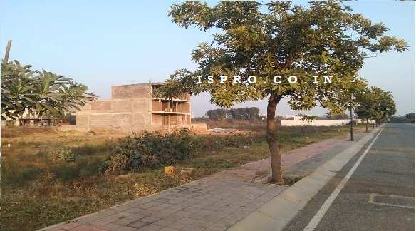 800 Sq. Yards Residential Plot for Sale in Sector 91, Gurgaon
