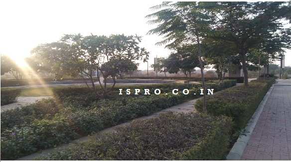 800 Sq. Yards Residential Plot for Sale in Sector 91, Gurgaon