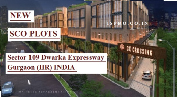 SCO Plot Dwarka Expressway Gurgaon
