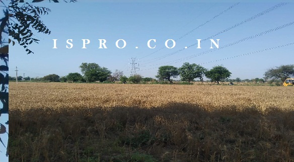 Agriculture Land for sale Dharuhera