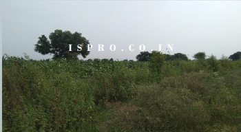 Property for sale in Tauru, Nuh