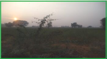 Land for Sale on 60 “meters wide road Manesar