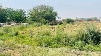 One Acre Land for Rent Sector 81 Gurgaon