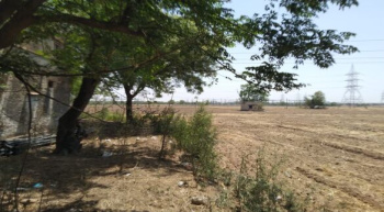 15 Acre Agricultural/Farm Land for Sale in Dharuhera, Rewari