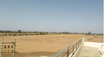 Agriculture Land for Sale Shiwadi Jhajjar